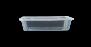 food container 500ml